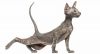 peterbald cat